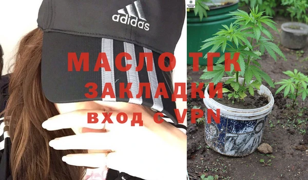 spice Богородицк