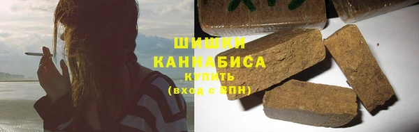spice Богородицк