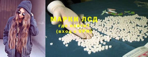 ГАЛЛЮЦИНОГЕННЫЕ ГРИБЫ Белокуриха