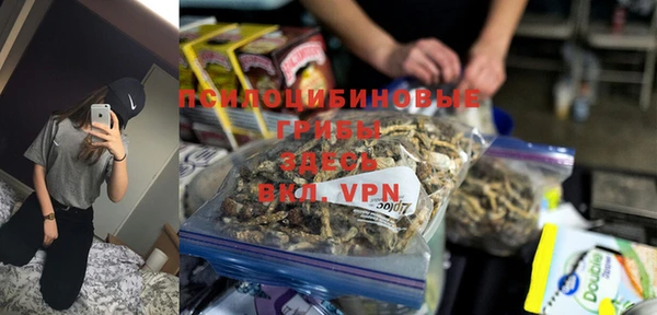 ГАЛЛЮЦИНОГЕННЫЕ ГРИБЫ Белокуриха