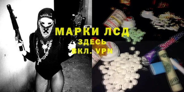 ГАЛЛЮЦИНОГЕННЫЕ ГРИБЫ Белокуриха