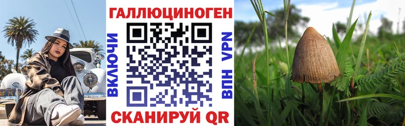 Псилоцибиновые грибы Psilocybe  цена   Бежецк 